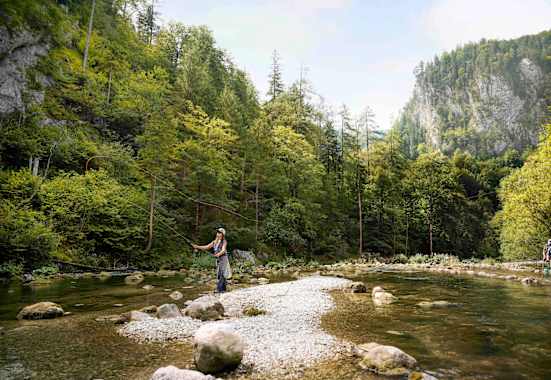 Fliegenfischen an der Schwarza in Niederösterreich.