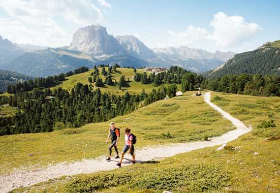 Blick auf den Langkofel