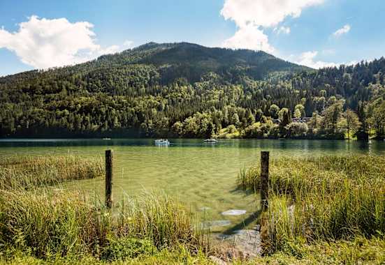 Der smaragdfarbene Lunzer See umgeben von saftig grünen Wäldern