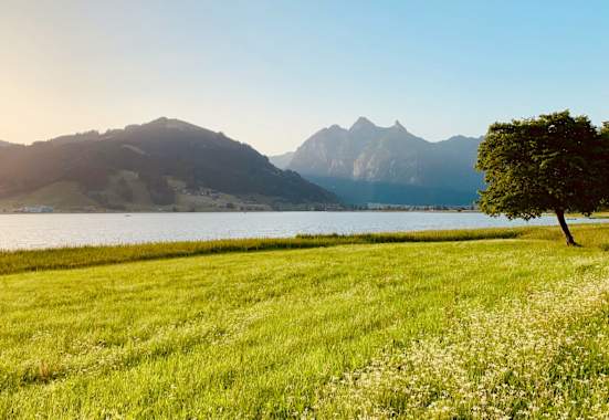Morgenstimmung am Sihlsee im Kanton Schwyz