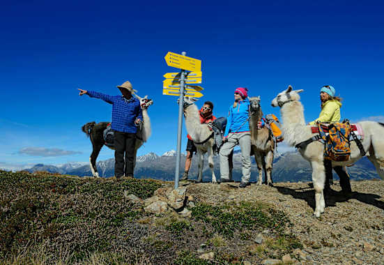 Wegzeitberechnung beim Wandern