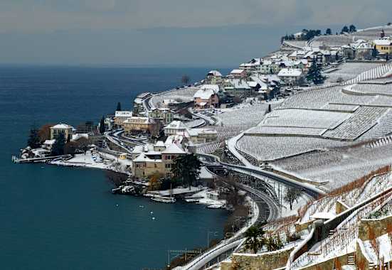 Lavaux Unesco Rivaz Genfersee