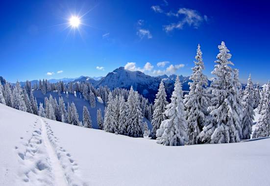 Skitouren und Freeriden im Ammergau