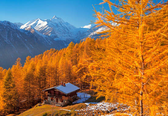 Bergwald Heiligenblut