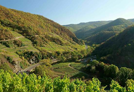 Stadtnahes Wandern im Ahrtal bei Mayschoss in unmittelbarer Nähe von Köln