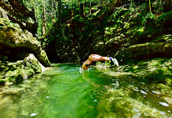 Wildschwimmen – Tipps, Tricks und Wissenswertes