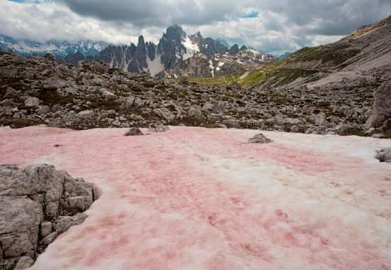 Wassermelonenschnee in den italienischen Dolomiten