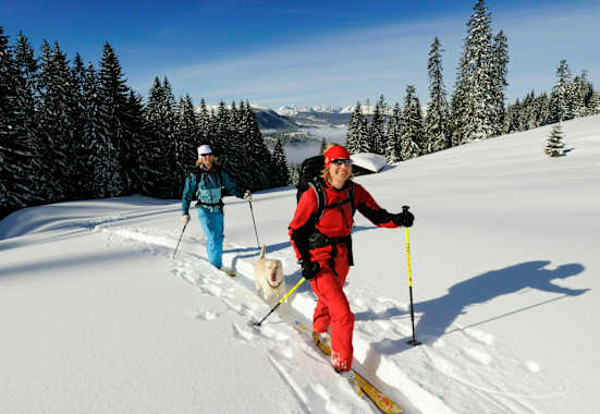 Skitourengeher am Dürrnbachhorn (1.776 m) in den Chiemgauer Alpen an der Grenze von Salzburg und Bayern
