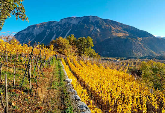 Spätherbstliche Wanderung durch die Weinhügel bei Siders im Kanton Wallis