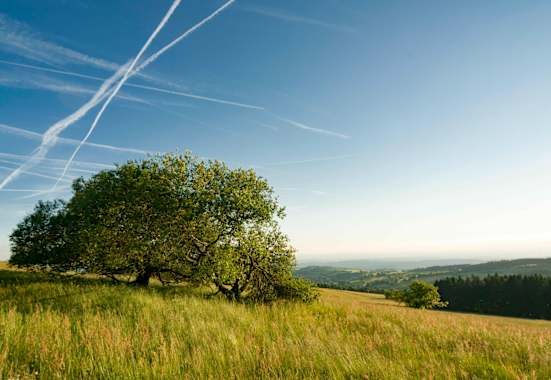 Blick vom Hoherodskopf am Vogelsberg in Hessen