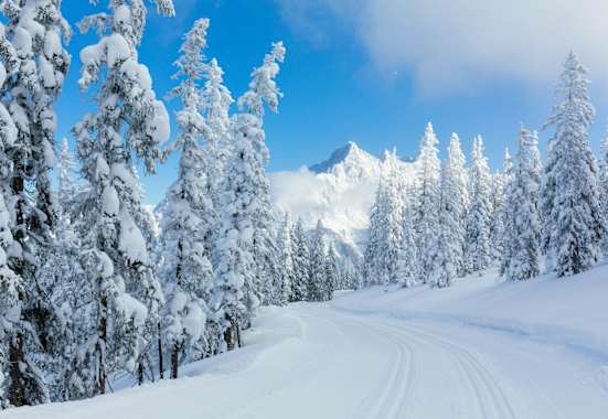 Langlaufen auf dem winterlichen Hochplateau in Ramsau am Dachstein