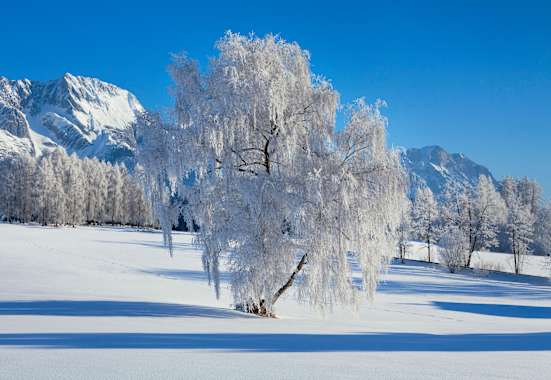 Oberflächenreif: an Bäumen wunderschön anzusehen, doch in der Schneedecke verborgen oft eine Gefahr