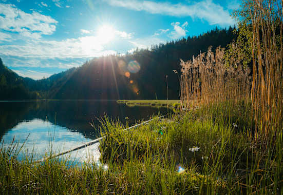 Der Spechtensee bei Wörschachwald im Ennstal, Steiermark