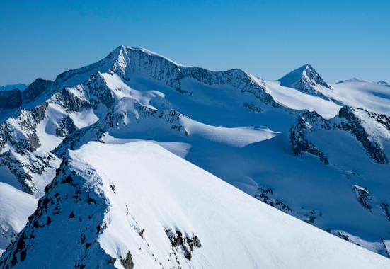 Dafür kann man nicht früh genug planen: Der Gipfel des Großvenedigers (3.666 m) ist ein beliebtes Skihochtourenziel im Frühjahr 