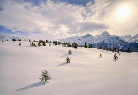 Unberührte Natur und feinste Winterlandschaft in den Albula Alpen, Graubünden