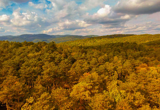 Ausblick auf den Gipfel des Anninger und die herbstliche Landschaft von Perchtoldsdorf, Niederösterreich