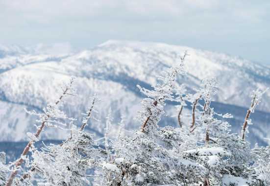 Wie eine Kugellager innerhalb der Schneedecke wirken die runden Graupelkörner