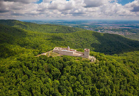 Eine Festung auf dem Berg umrandet von Wald.