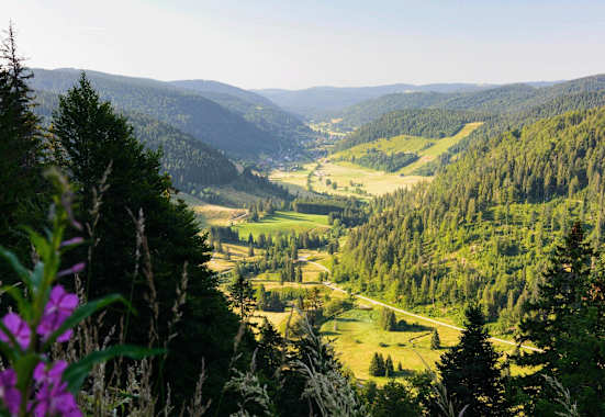 Menzenschwander Geißenpfad: Hochschwarzwald in Baden-Württemberg