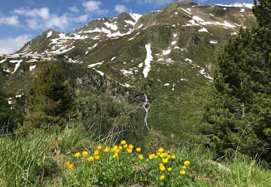 Saubere Berge - unterwegs im Mölstal in den Tuxer Alpen.