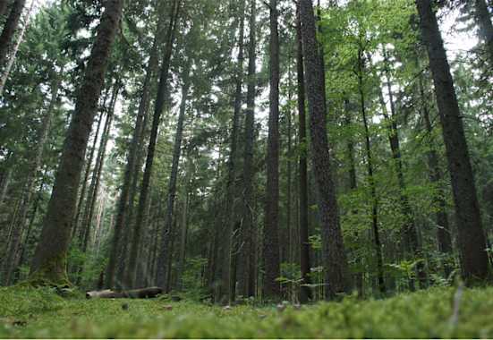 Moldau Bayerischer Wald Wanderung