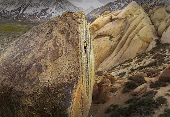 Nina Williams The High Road