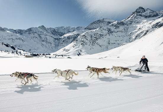 Manuela Petutschnig mit Hundeschlitten