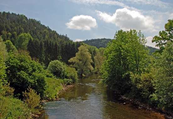 5 Wanderungen im Schwarzwald