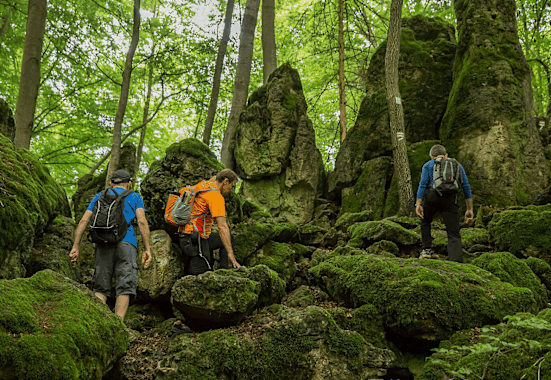 Outdoortag Plech: Wandern im Naturpark Fränkische Schweiz in Bayern