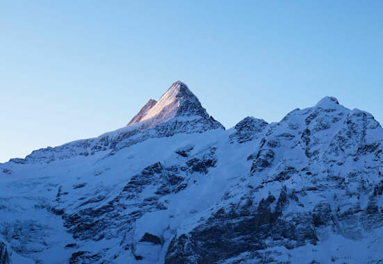Grindelwald: Blick aufs Schreckhorn in den Berner Alpen