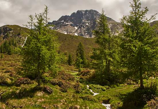 Ein Bach kreuzt den Weg Richtung Mahd-Alm.