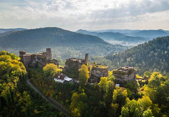 Die Burganlage Alt-Dahn