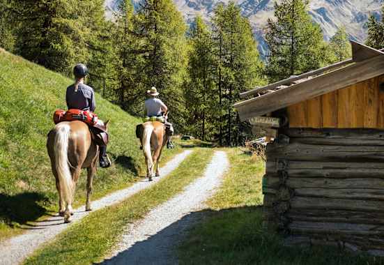 Gemütlich reitet man den Forstweg nach oben