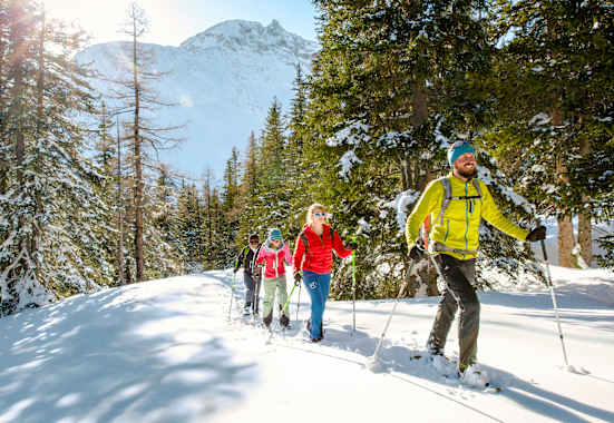 Vier Schneeschuhwanderer am Berg