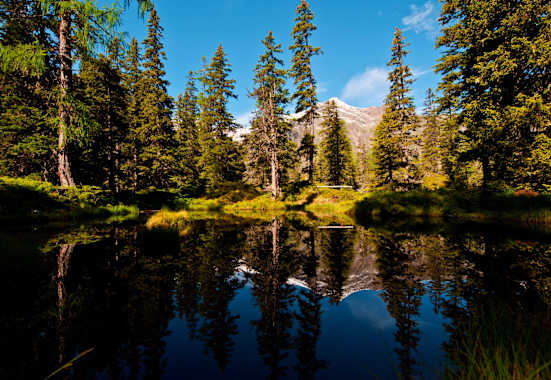 Moortümpel im Rauriser Urwald: Wandern in der Goldberggruppe in Salzburg