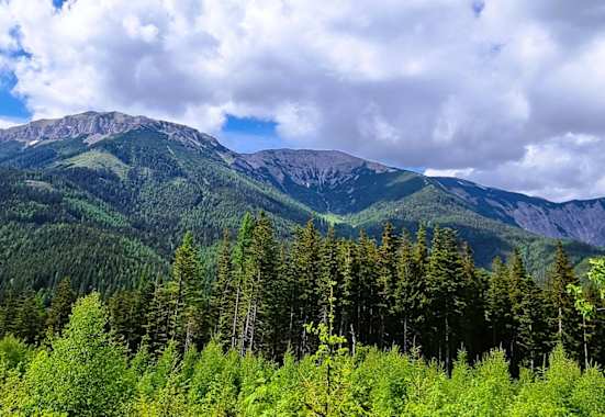 Von der Hohen Scheibe genießt man einen schönen Blick auf die Rax.