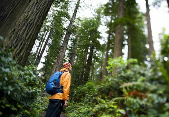 Wanderer bei Regen im Wald