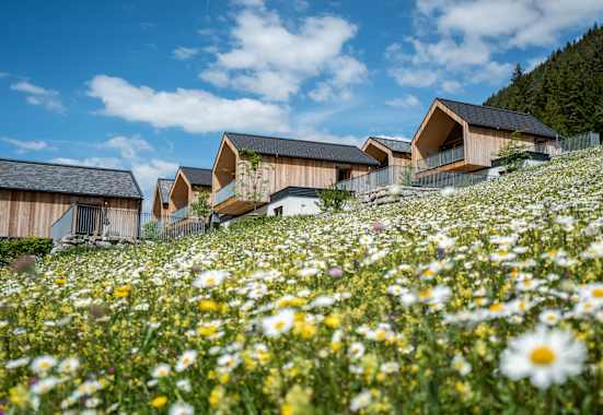 Blumenwiese mit Holzchalets am weissensee