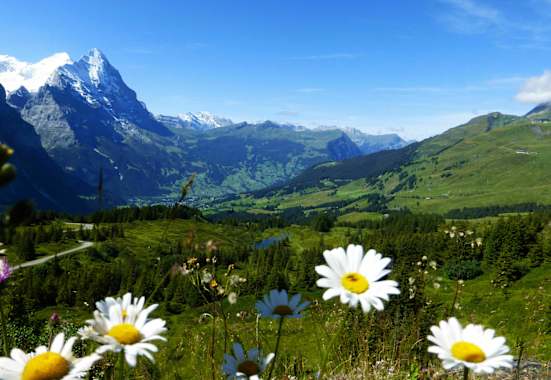 Rundwanderung in der Jungfrau-Region: Durchs Reichenbachtal im Berner Oberland