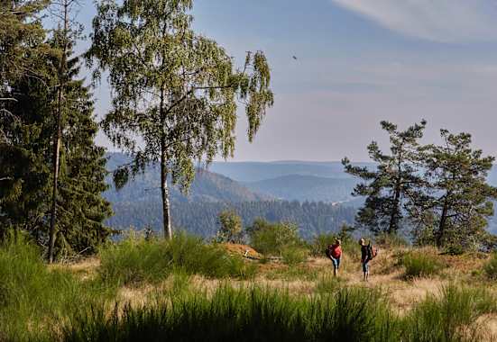 Deutscher Wandertag: Am Rennsteig im Thüringer Wald