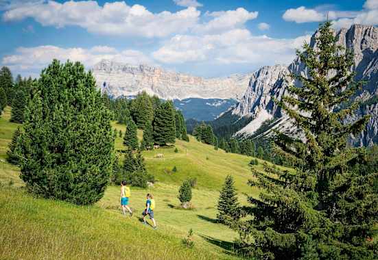Blick über die Medalgs-Wiesen
