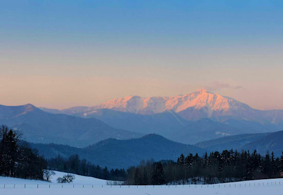 Rax-Schneeberg-Gruppe: Schneeberg in Niederösterreich