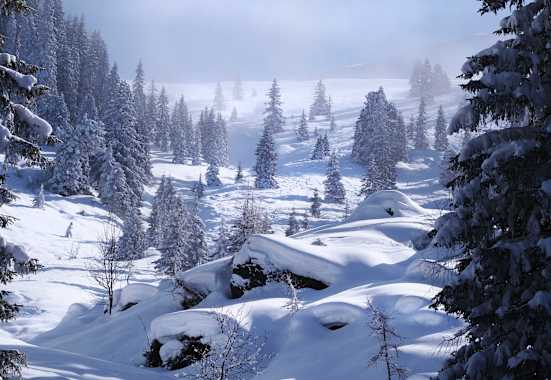 Kitzbüheler Alpen: Schneegrubenspitze in der Kelchsau