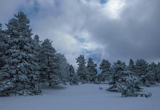 Winterwandern auf der Schwäbischen Alb