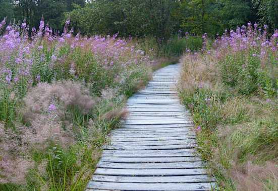 Wandern im Naturpark Bayerische Rhön