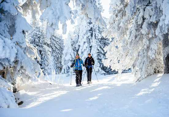 Schneeschuhwandern