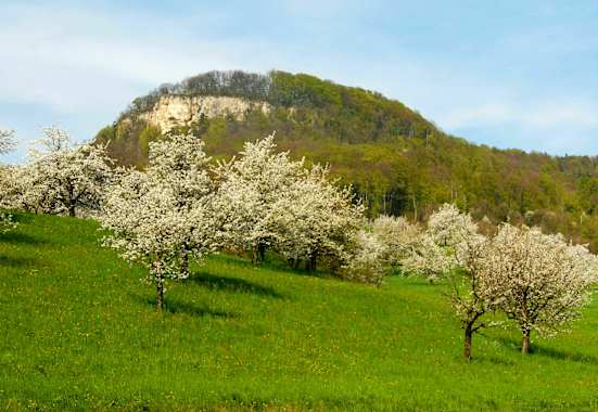 Wandern im Baselland: Sissacherflue