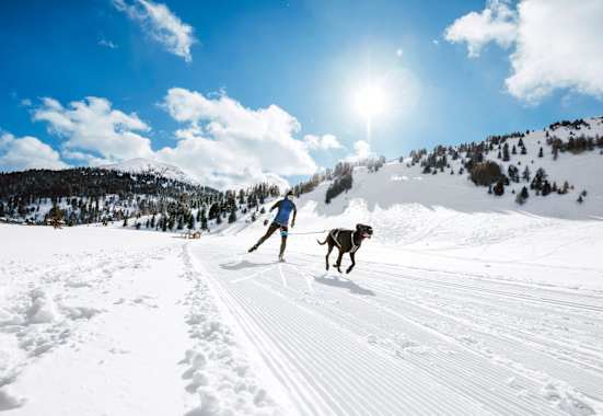 Anna Milazzi und ihr Hund Finn auf der Loipe