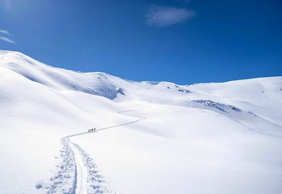 Spur durch die winterliche Landschaft