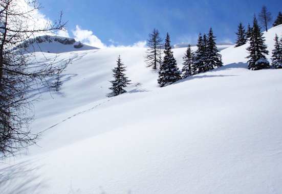 Salzburger Land: Gelände bei Kleinarl